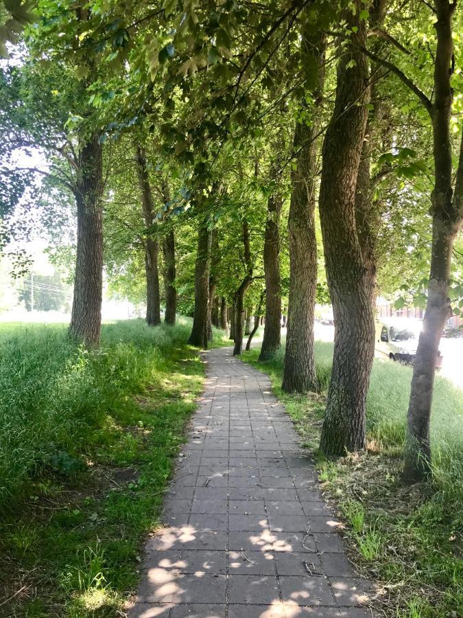 Sea And Dunes Knokke-Heist Eksteriør billede